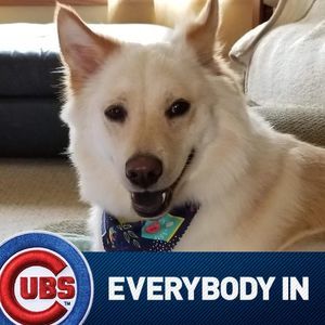 Meet your Posher, Pam